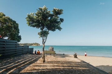 Fototapeta premium Relaxing beach scene. People enjoying the sun, sand, and water. Sunny day at the beach. Milford Beach,, Auckland, New Zealand