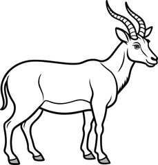 Addax line arts with white background. Addax portrait monochrome hand drawn animal illustration, transparent background