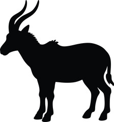 Addax line arts with white background. Addax portrait monochrome hand drawn animal illustration, transparent background