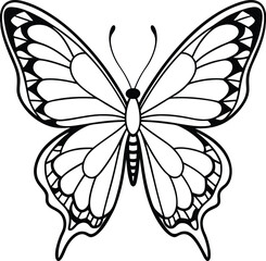 Admiral butterfly line arts with white background. Butterflies in vintage style set. Outlined sketches of flying insects, moths species collection. Retro detailed line drawings.