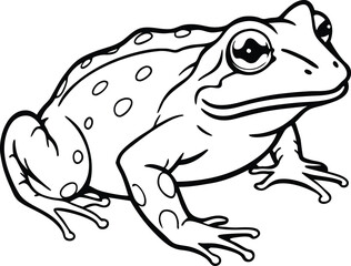 African Bullfrog Black Silhouette Vector Design. African bullfrog line arts with white background