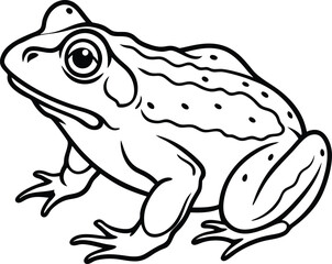 African Bullfrog Black Silhouette Vector Design. African bullfrog line arts with white background