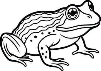African Bullfrog Black Silhouette Vector Design. African bullfrog line arts with white background