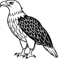 African fish eagle  line arts with white background . Realistic African Fish Eagle swoop attack hand drawn and paint color on checkered pattern background 