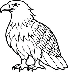 African fish eagle  line arts with white background . Realistic African Fish Eagle swoop attack hand drawn and paint color on checkered pattern background 