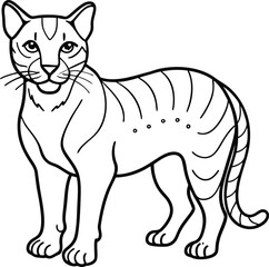 African golden cat  line arts with white background . African golden cat vector illustration on white background