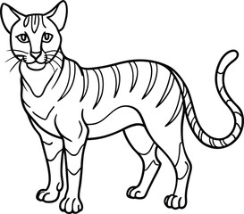 African golden cat  line arts with white background . African golden cat vector illustration on white background