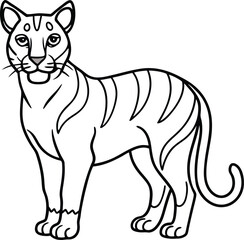 African golden cat  line arts with white background . African golden cat vector illustration on white background
