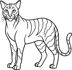 African golden cat  line arts with white background . African golden cat vector illustration on white background