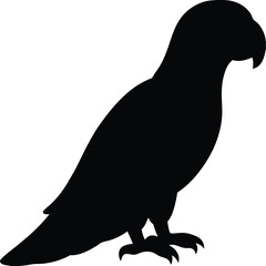 African grey parrot line arts with white background . Vector black gray African parrot silhouette isolated on white background © Bharotray