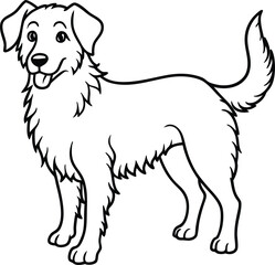 Airedoodle line arts with white background. Airedoodle hand drawing vector illustration isolated on white background