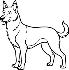 Akbash dog hand drawing. Vector illustration isolated on white background.. Akbash line arts with white background 