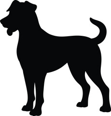 Akbash dog hand drawing. Vector illustration isolated on white background.. Akbash line arts with white background 