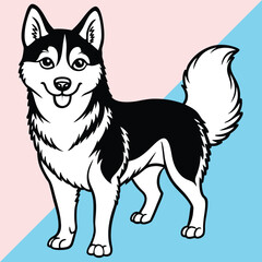 Alaskan klee kai silhouette of a standing dog. Alaskan Klee Kai vector illustration isolated on white background in cartoon style.
