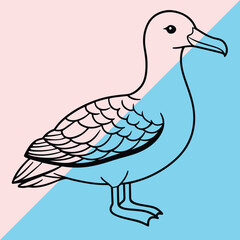 Albatross line arts with white background . California bird silhouette vector illustration