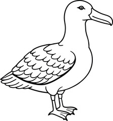 Albatross line arts with white background . California bird silhouette vector illustration