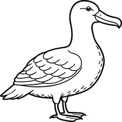 Albatross line arts with white background . California bird silhouette vector illustration