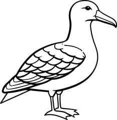 Albatross line arts with white background . California bird silhouette vector illustration