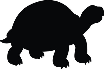 Aldabra giant tortoise  line arts with white background. Tortoise icon vector black silhouette on a white background.