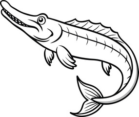 Alligator gar line arts with white background. Hand drawn vector of Alligator Gar fish isolated on white background.
