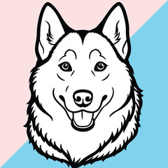 Alusky hand drawing vector isolated on white background. vector illustration of wolf. 