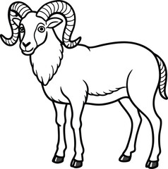 Sheep line arts with white background. Black and white Sheep silhouette Vector coloring page. 