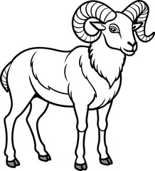 Sheep line arts with white background. Black and white Sheep silhouette Vector coloring page. 
