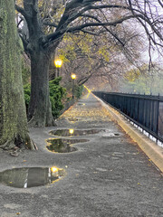 Central Park Reservoir, view in early morning