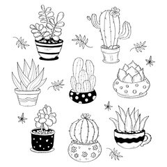 Houseplant cactus set.  Isolated hand drawings tropical indoor plants in pots. Vector illustration