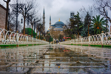 Fototapety na wymiar - Fototapeta24.pl