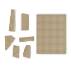 Set of torn paper fragments isolated on background, Vector illustration