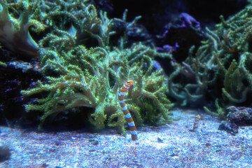 マクセルアクアパーク品川
