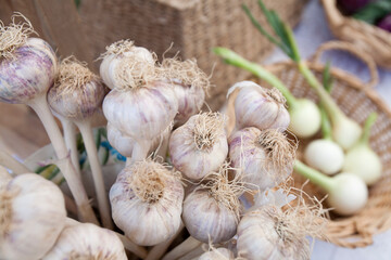 A basket of fresh garlic at a farmers market