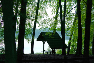 Wooden Gazebo for Relaxing in the Forest on the Lake Shore.