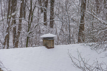 Image depicts a snowy rural scene with an outhouse in the foreground and dense, bare trees in the...
