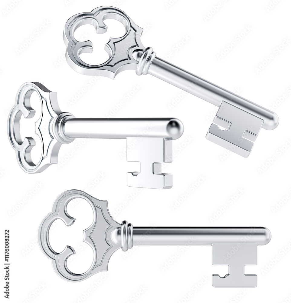 Poster silver key. different views and angles, 3d rendering isolated on transparent background