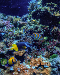 マクセルアクアパーク品川
