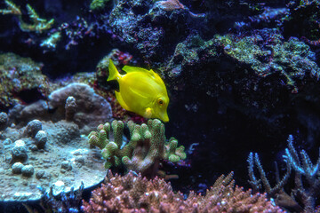 マクセルアクアパーク品川
