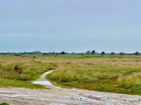 Scenic October Landscape of Baie d'Authie near Berck with Marshland and Sandy Trails