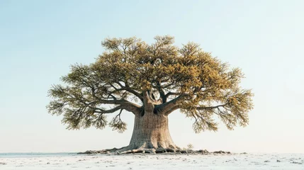 Fotobehang Majestic baobab tree standing alone in a vast, pale landscape under a clear sky. © SlashStd