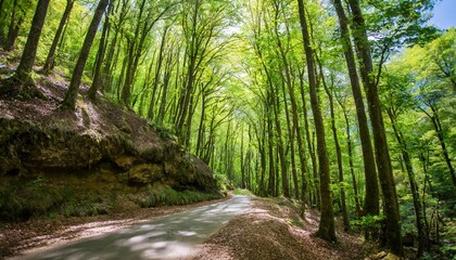 Obraz premium The Enchanted Whisper of the Emerald Forest and Deep Wilderness