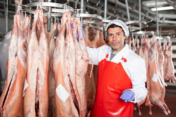Male butcher showing mutton carcass in meat storage