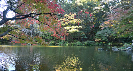 Japanese pond