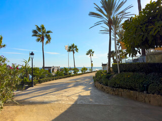 palm trees at the wonderful promenade along the beach between Puerto Ban&uacute;s and Marbella in the evening light, Malaga, Costa del Sol, Andalusia, Spain