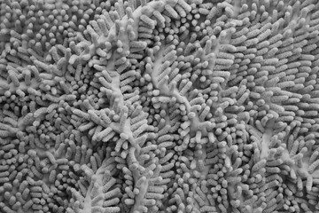 Processed image of fluffy gray doormat from bathroom in grey color