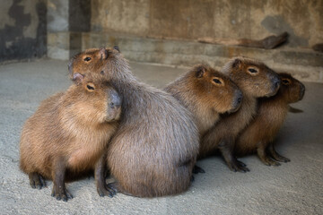 霞ヶ浦ふれあいランド
