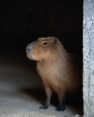 霞ヶ浦ふれあいランド
