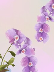 Hand drawn watercolor illustration of purple orchids with gradients background