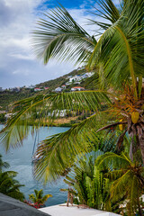 Fototapeta premium Tropical Serenity with Palm Tree and Coastal Views