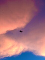 airplane in the sky